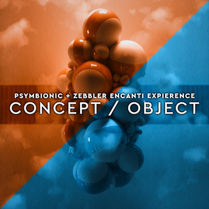 Concept / Object