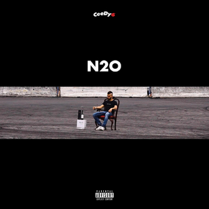 N2O