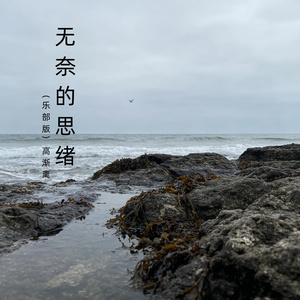 无奈的思绪（乐部版）
