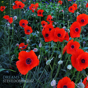 Dream of the Floating Court