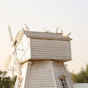 赫兹情书（Night Version）