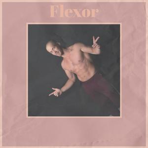 Flexor