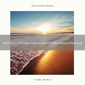 Best White Noise Of Wind And Woods For Good Dreams