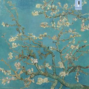 Spring Arrived (Yinpo Remix)