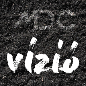Vizió (Original Mix)