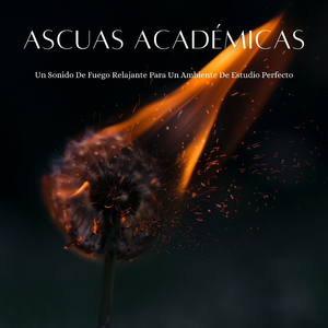 Hogar Enfocado Para Actividades Académicas