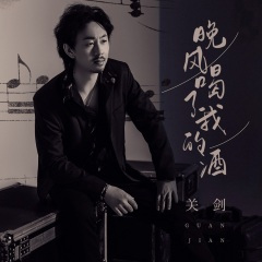 晚风喝了我的酒 (DJ陌梦版)