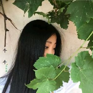 牛牛