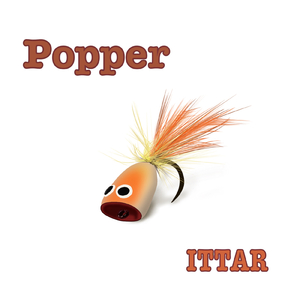 Popper