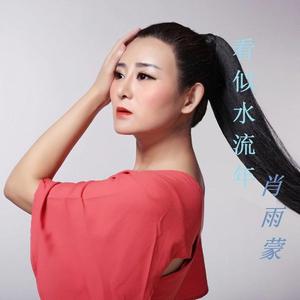 看似水流年 (伴奏)