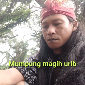 Mumpung magih urib