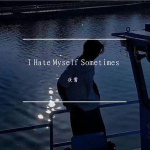 I Hate Myself Sometimes