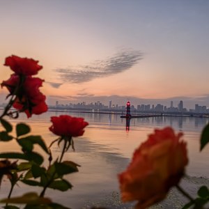 无法忘记(prod:EVO MUSIC)