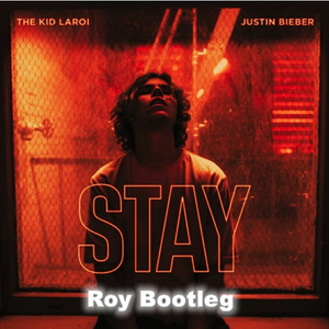 Roy-Justin Bieber - Stay (Roy Bootleg mix)（ROY remix）