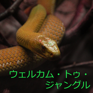 エターナル (Original Track)