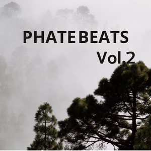 [FREE]"CHINESE XIAO" CHINESE BEAT