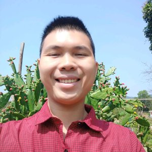 新春祝福歌（ai国语版）