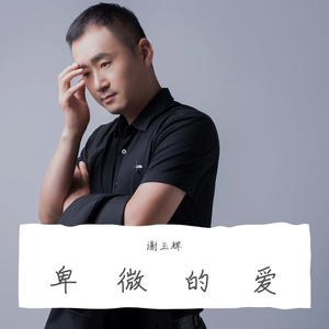 卑微的爱—谢玉辉 伴奏