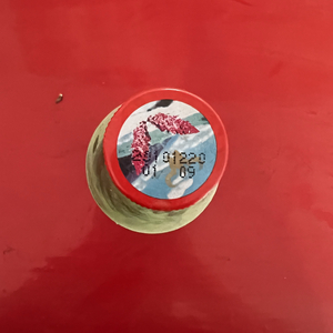 侠