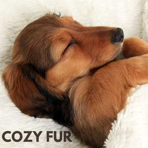 Cozy Fur