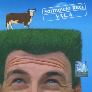 Poti sa-i dai drumul acum (intermezzo)