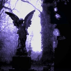 End&Wither. (Prod by Slim Dyane)