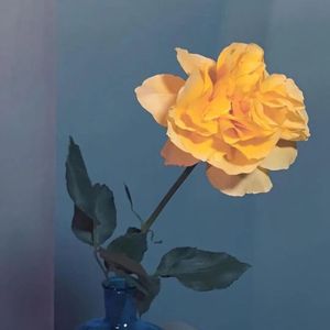 欢乐派对的灵动节奏