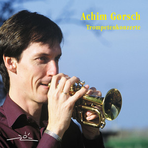 Konzert in D-Dur: Allegro moderato