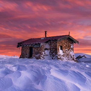 平淡的日子里挣扎