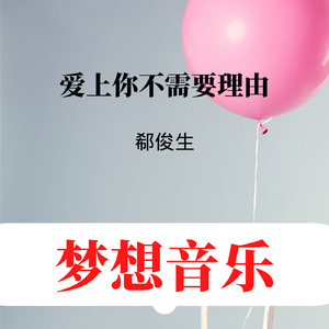 爱上你不需要理由