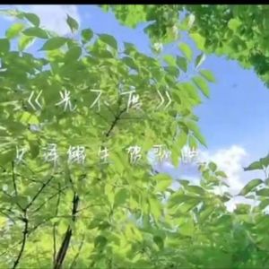 光不度