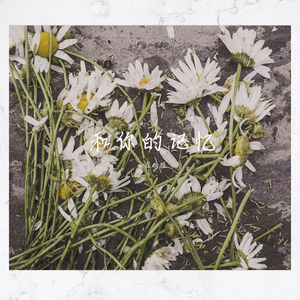 너와의 기억(和你的记忆)（翻自 숨의숲）