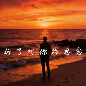 断了对你的思念