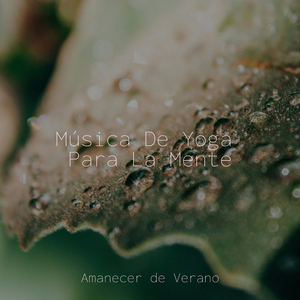 Río de la Odisea Rítmica