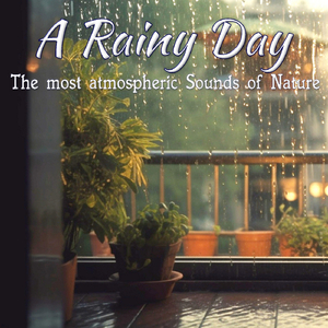 Pummeling Rain on a Roof