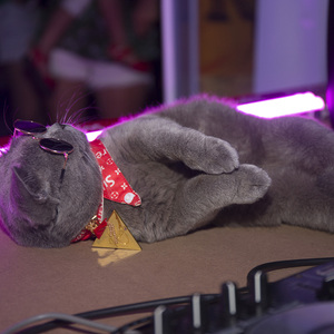 DJ Snake-Drop Magenta Riddim (Ninty9 Mashup)（Ninty9_Official remix）