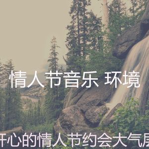 精彩鲜花花束环境