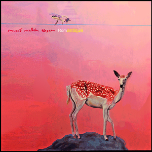 Çingene (İmkansız Güzel)