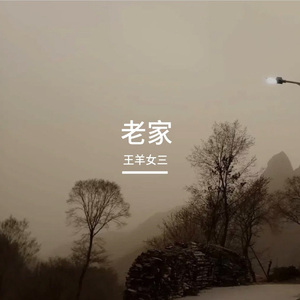 老家