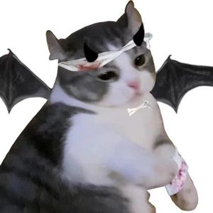 泥（cover :Mario ）