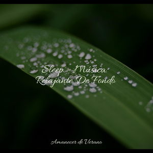 Desvaneciéndose en los sueños