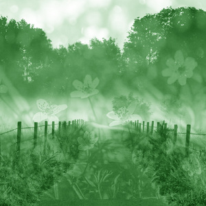 따듯한 시간의 테라피