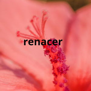 renacer