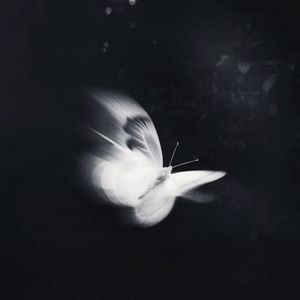 【FREE】"Dream in the Rain" Emo✕Hyperpop Type Beat