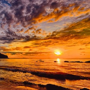 窗外（抖音版）