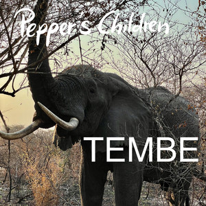 Tembe Elephant Park