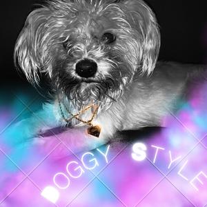 DoggyStyle