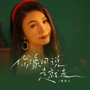 你像风说走就走 (DJ彭锐版)