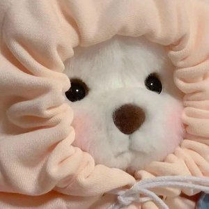 十二月·第七场雪来信