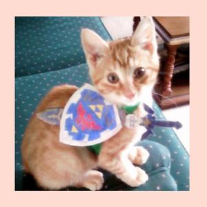 Zelda